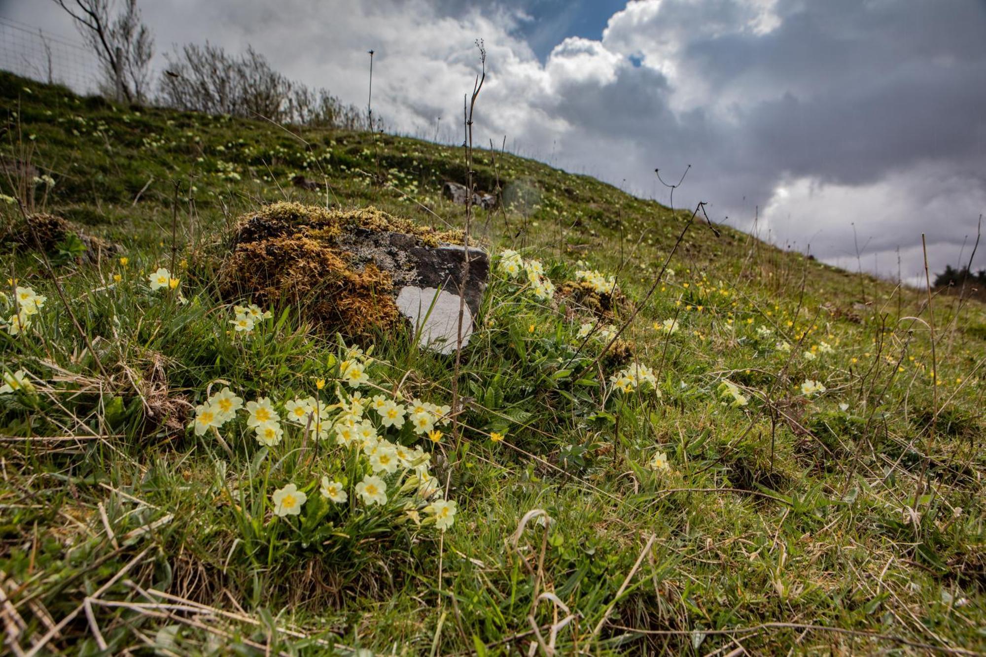 Edinbane Self Catering - On The Croft At Edinbane Villa Eksteriør bilde